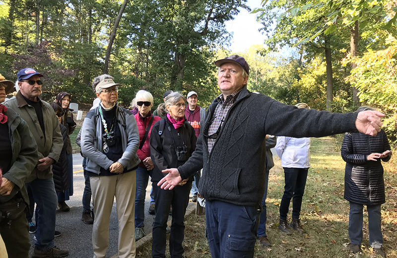 Arlington Woods a living monument to forests of the past